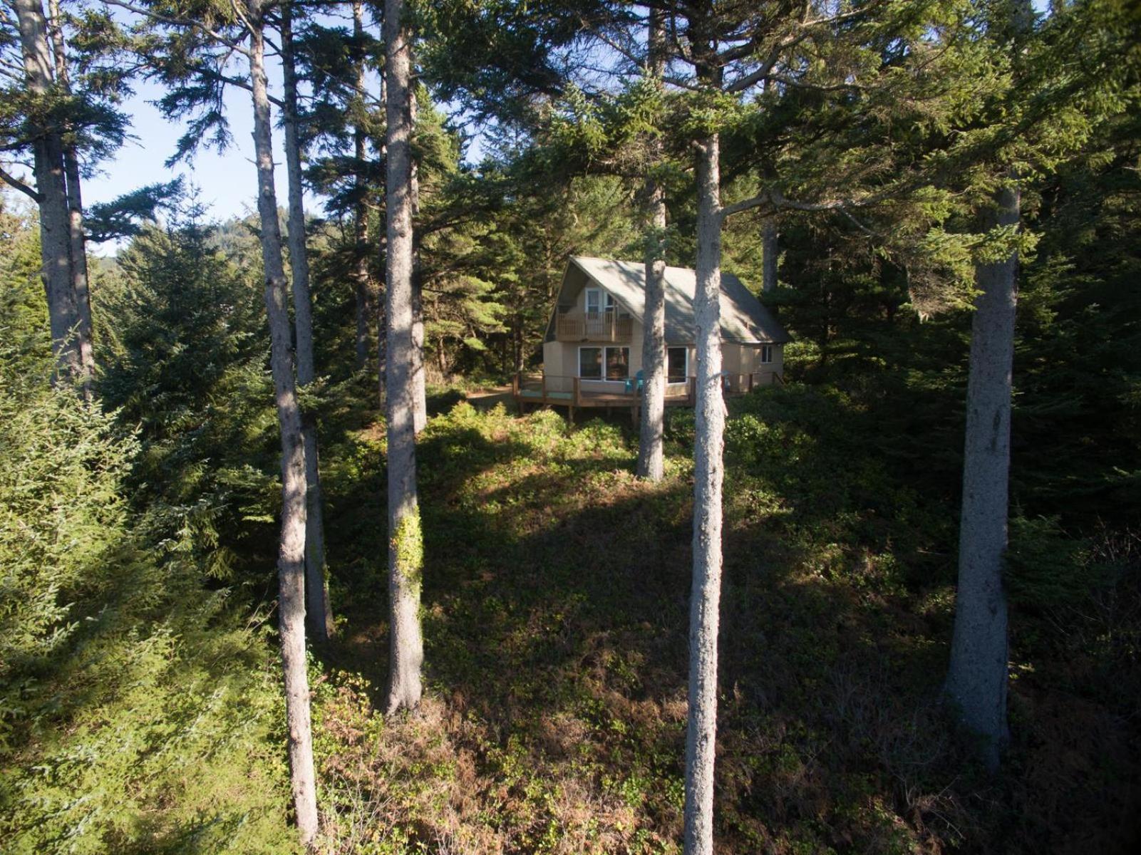 The Cedar House Villa Otter Rock Buitenkant foto